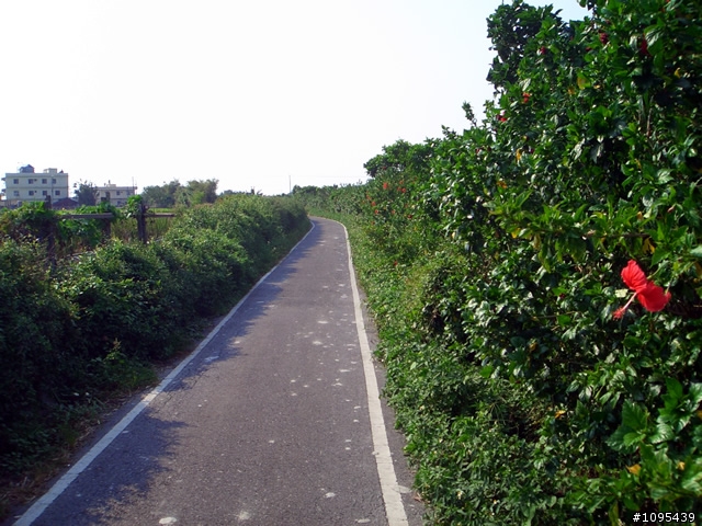 彰化埔鹽環鄉自行車道