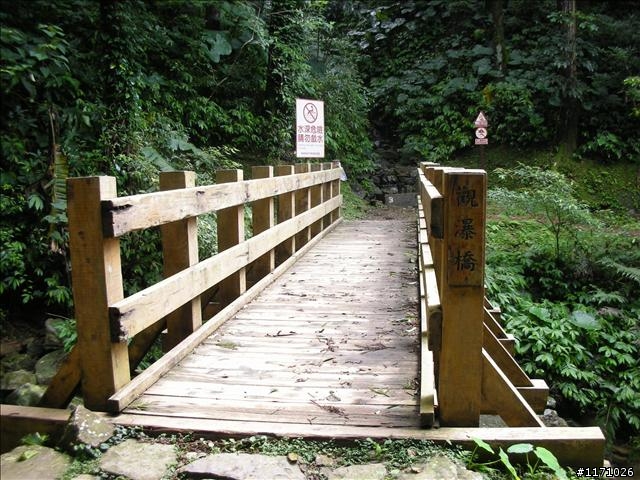滿月圓、東眼山走一回