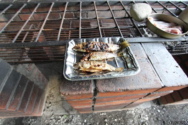 嬰兒拖車的無限可能—北海道の夏日薰風