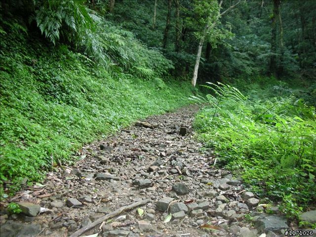 滿月圓、東眼山走一回