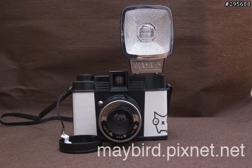 lomo Diana F+ 即可拍機背入手
