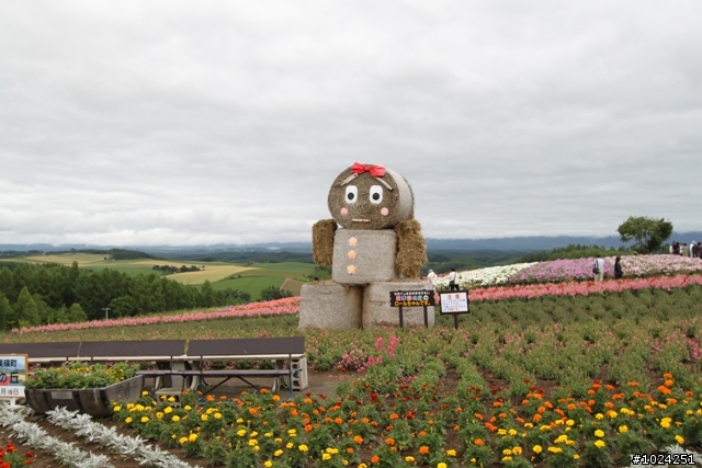 嬰兒拖車的無限可能—北海道の夏日薰風