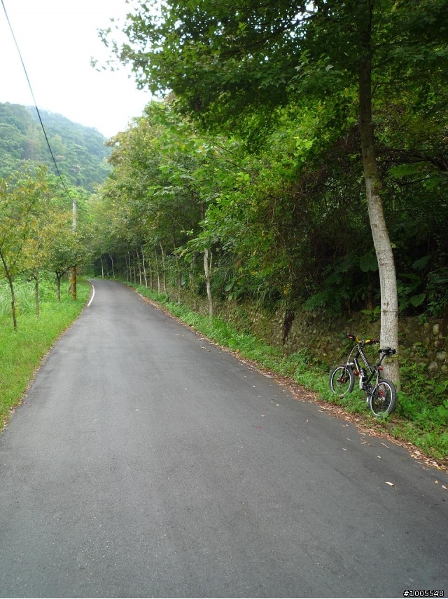 MV5騎樹林民和巷-大樹公-福源山步道