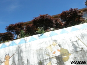 2009-08-01_大禹嶺公車旅遊+埔里的機車行半日遊