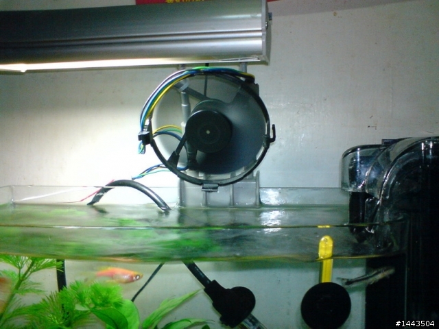 DIY~魚缸散熱風扇~