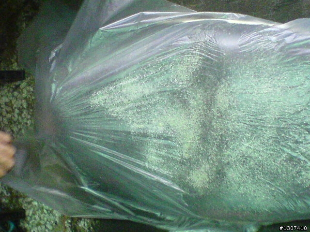 毛毛蟲坐墊開箱文 之對自己(小老弟)好一點.圖多請包涵(颱風雨水補圖)