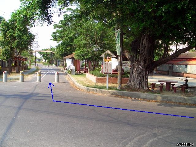 彰化埔鹽環鄉自行車道