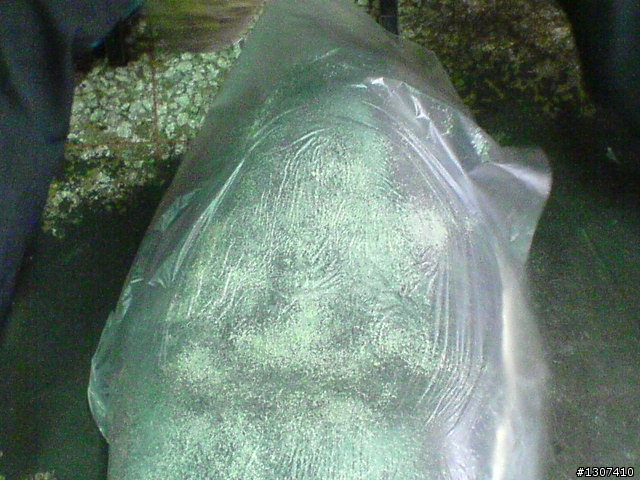 毛毛蟲坐墊開箱文 之對自己(小老弟)好一點.圖多請包涵(颱風雨水補圖)