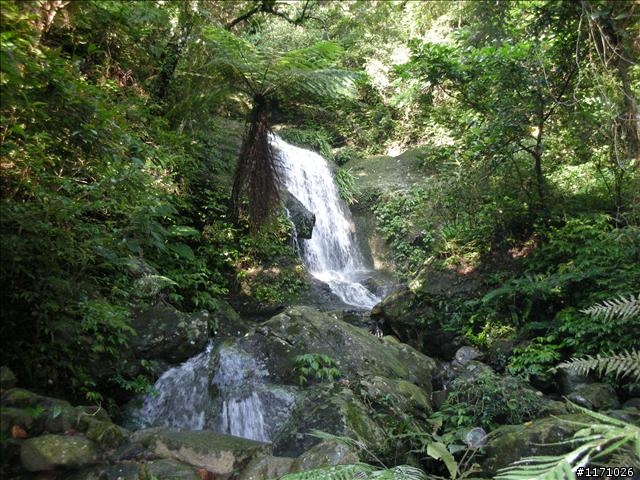 滿月圓、東眼山走一回