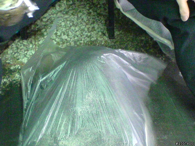 毛毛蟲坐墊開箱文 之對自己(小老弟)好一點.圖多請包涵(颱風雨水補圖)