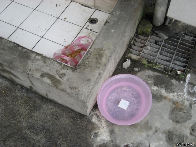 中和仁愛公園~小黑狗被汽車廠的工人遺棄~拜託!!幫忙推一下(有圖有真相~圖多)