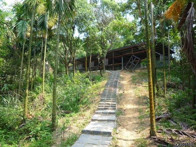 MV5騎樹林民和巷-大樹公-福源山步道
