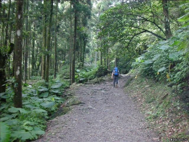 滿月圓、東眼山走一回
