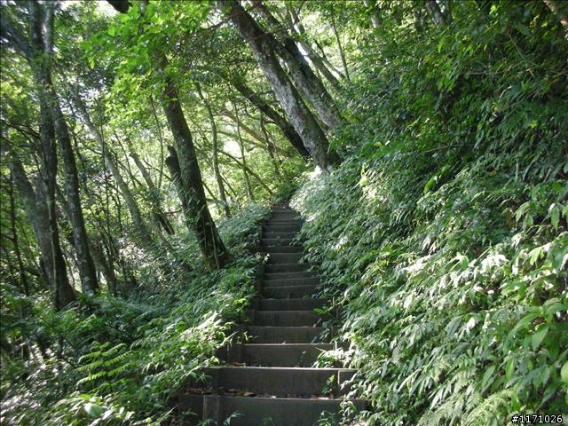 滿月圓、東眼山走一回