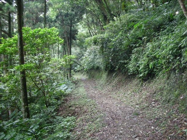 滿月圓、東眼山走一回