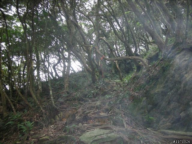 南插天山(增列2011/06/05夢、單車、南北插)