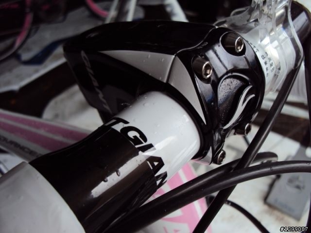 Giant 2010新車賞車會