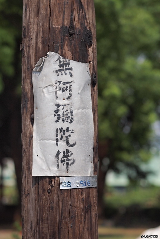 老鏡+改裝鏡 隨手拍...