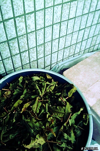 用hTC Magic/Hero拍出隨興lomo style相片