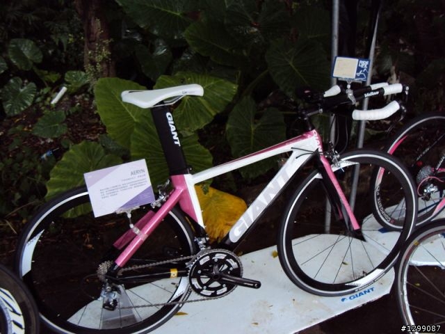 Giant 2010新車賞車會