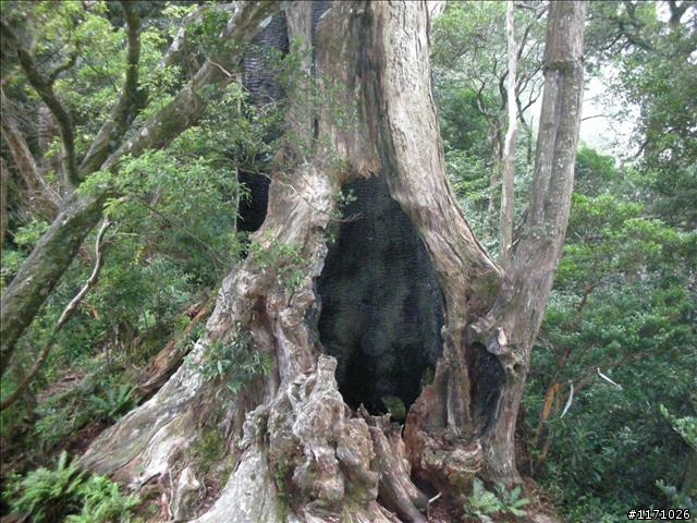 南插天山(增列2011/06/05夢、單車、南北插)