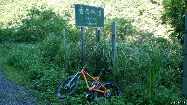 消失的古魯林道