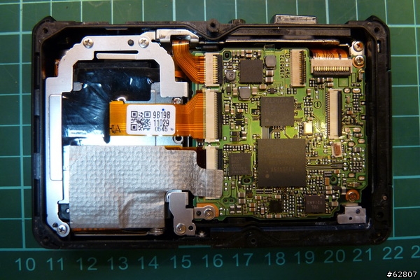 【解剖文】TS-1小綠往生解剖文
