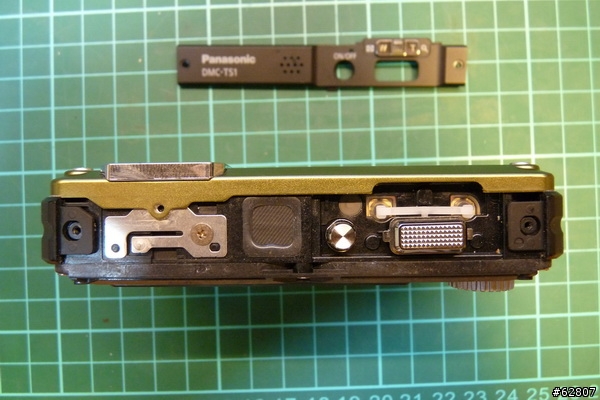 【解剖文】TS-1小綠往生解剖文