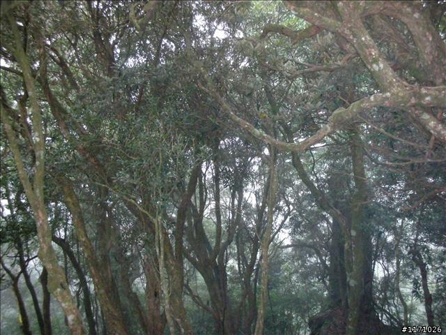 南插天山(增列2011/06/05夢、單車、南北插)