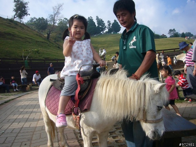 2009 9/12-13 清境國民賓館消費券之旅