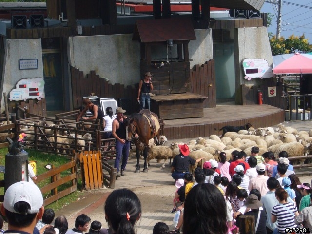 2009 9/12-13 清境國民賓館消費券之旅