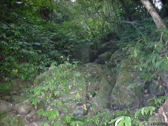南插天山(增列2011/06/05夢、單車、南北插)
