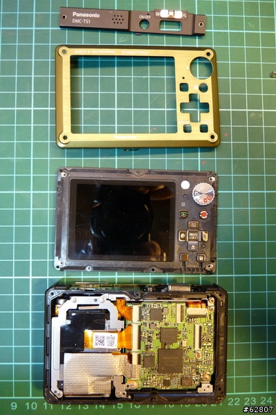 【解剖文】TS-1小綠往生解剖文