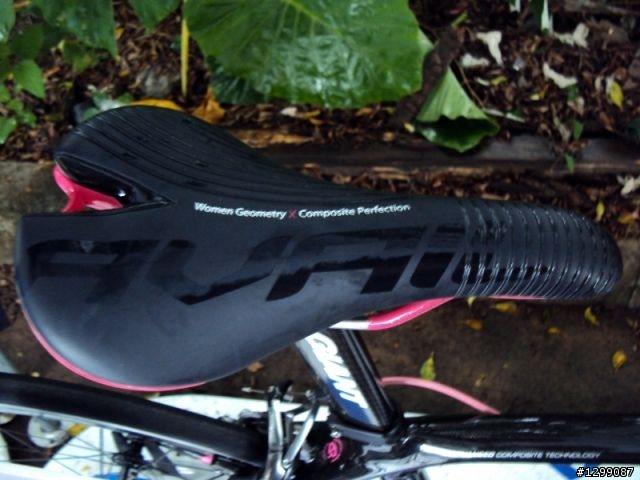 Giant 2010新車賞車會