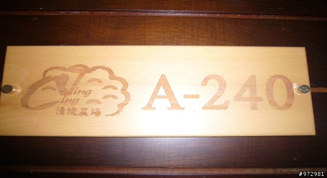 2009 9/12-13 清境國民賓館消費券之旅
