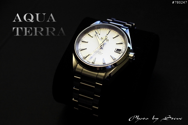OMEGA 海馬 Aqua Terra 對錶(銀乳白色)