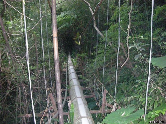 南插天山(增列2011/06/05夢、單車、南北插)
