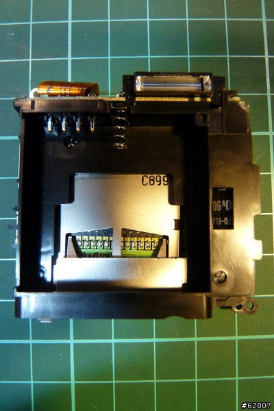 【解剖文】TS-1小綠往生解剖文
