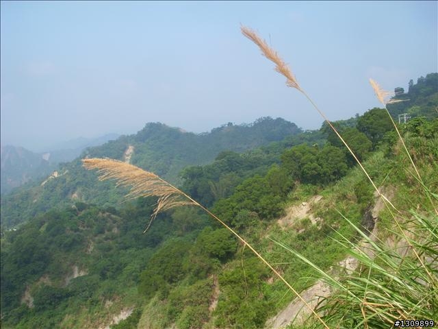 週六早起出門騎車去,136縣道赤崁頂