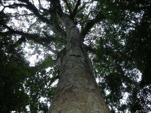 南插天山(增列2011/06/05夢、單車、南北插)