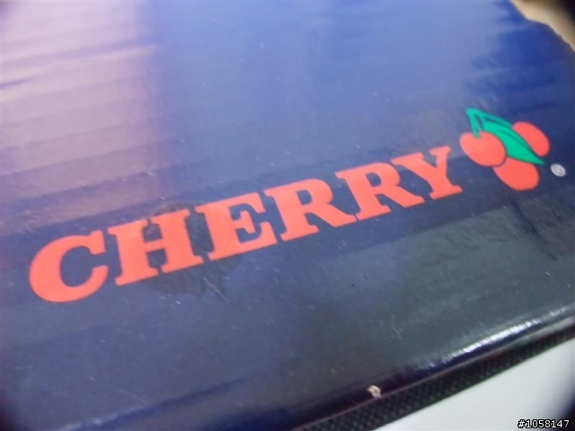 【雅】人生第一顆櫻桃CHERRY-白的初體驗(白軸)