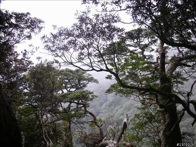 南插天山(增列2011/06/05夢、單車、南北插)
