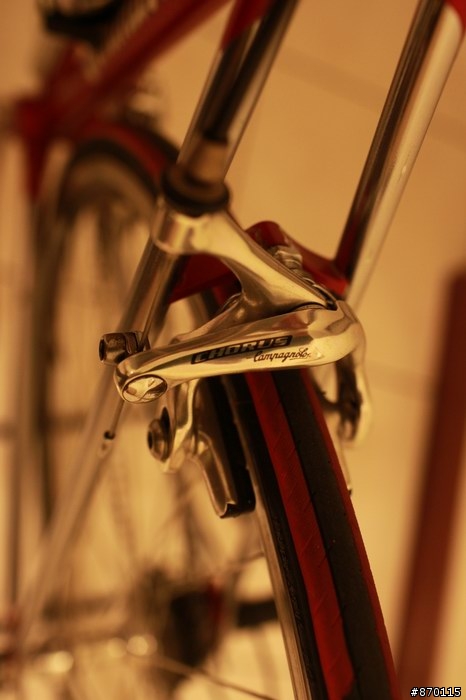 分享~ TOMMASINI Super Prestige 鋼管車 + 10速 CHORUS 鋁 系統