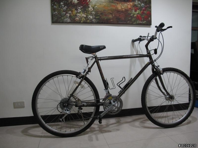 20年 SCHWINN 老鋼管登山車整理