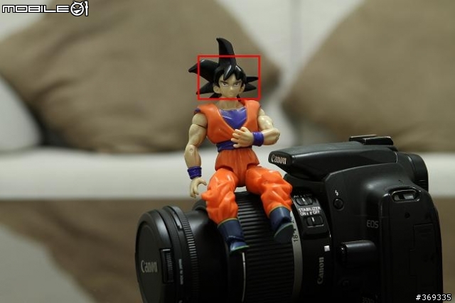 7D 開箱