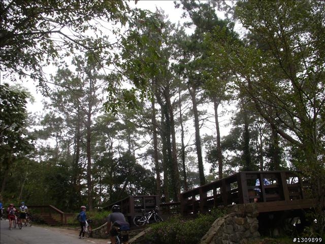 小折向前衝,2009苗栗縣騎單車挑戰部落高峰雪見之役