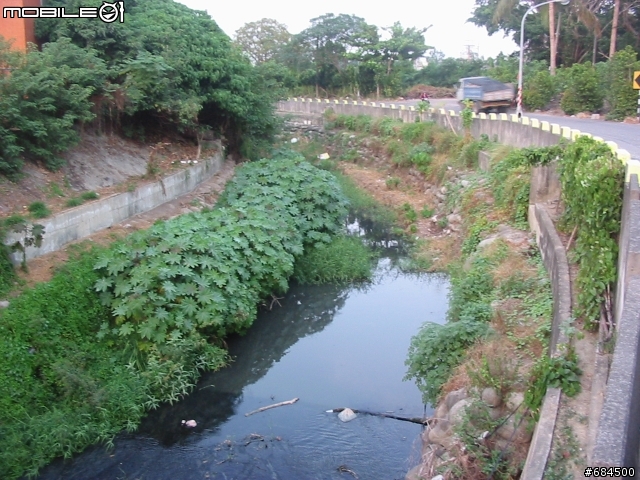 城市小小探險之愛河溯源