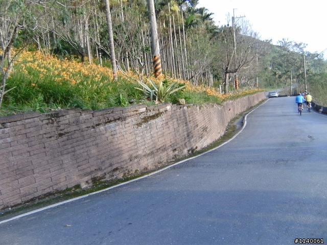 來企~台東太麻里金針山~賞雲花海~山海戀騎...^^"...