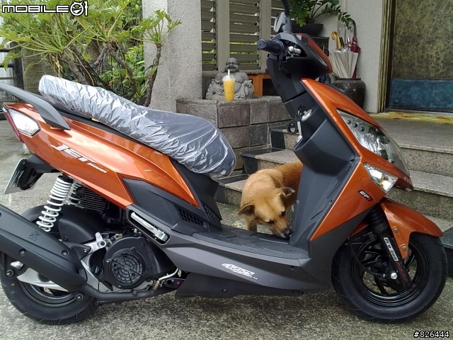 JET POWER補開箱圖+屁股被狗啃