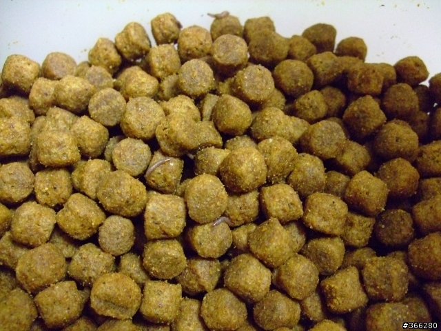 可怕的希爾斯長蟲飼料